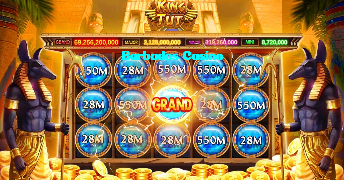 available types of Barbados Casino bet including pre-match live express and system bets